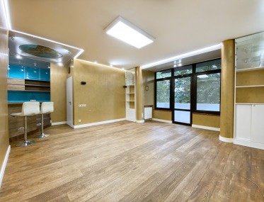 3-bedroom apartmant in the Lypky photo 1