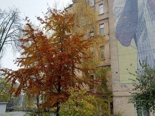 Sell 3-room apartment. Киев, Владимирская, 9 — photo 12