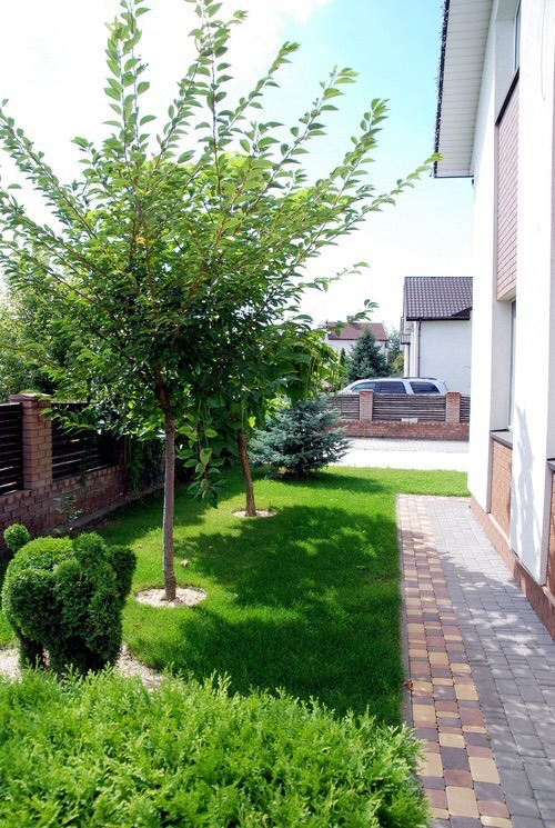 Sell house. Киев, 1я Садовая, 1 — photo 4