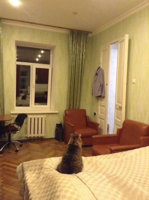 Sell 3-room apartment. Киев, Прорезная, 22 — photo 3