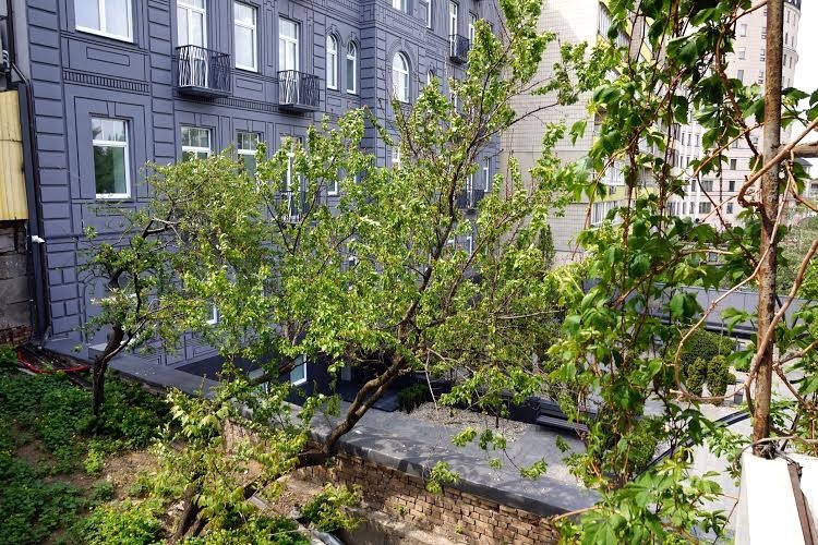 Sell 3-room apartment. Киев, Льва Толстого, 27 — photo 14