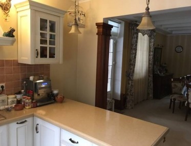 Luxurious elite estate in Romankiv photo 4